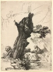 Saint Jerome beside a Pollard Willow
