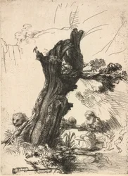 Saint Jerome beside a Pollard Willow