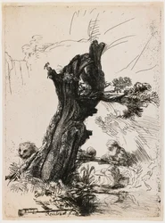 Saint Jerome by the Pollard Willow