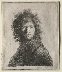 Self-Portrait Frowning: Bust, 1630