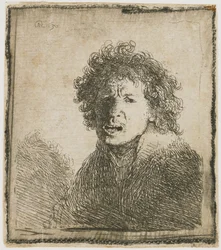 Self-Portrait with Open Mouth