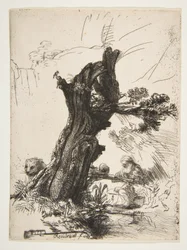 St. Jerome beside a Pollard Willow, 1648
