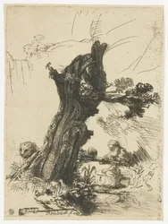St Jerome Beside a Pollard Willow