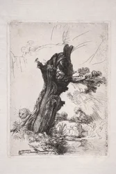 Saint Jerome Writing by a Willow Trunk
