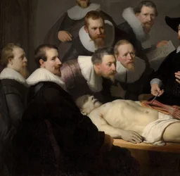 The Anatomy Lesson of Dr. Nicolaes Tulp, 1632 (detail of 7543)