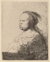 The White Negress