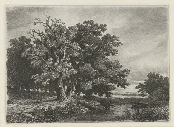 Trees by a Pond with a Boat