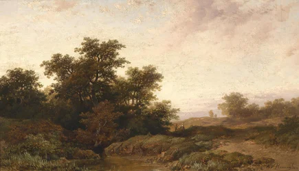 Open Landscape in the Evening Light