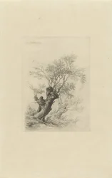Willow Tree