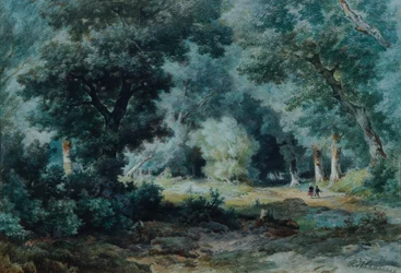 Forest Interior