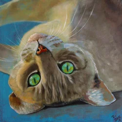 Cat Happiness