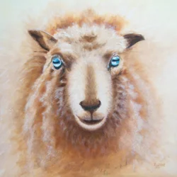 Sheep