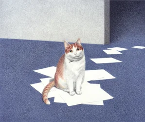 Papers