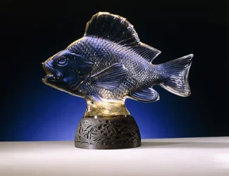 A carp with dorsal fin and tail
