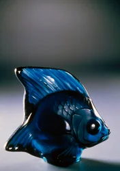 Fish in glass