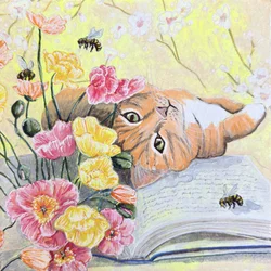 Cat Among Poppies