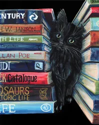 Curious Library Cat