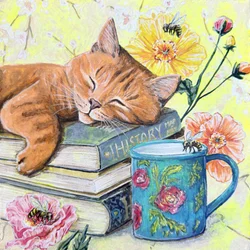 Sleeping Cat Among Books