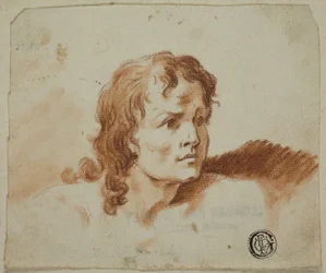 Bust of a Youth