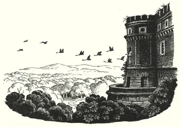 Hans Christian Andersen: The Wild Swans