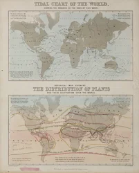 A Tidal Chart and a Map of the Distribution of Plants Across the World, c 1850