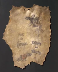 Human Skin Tattooed with Flowers and Inscriptions, French