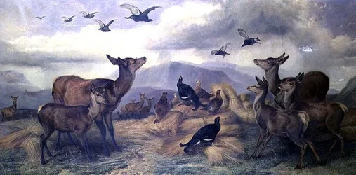 The Shepherd