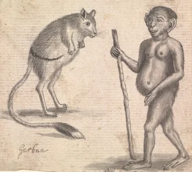 Monkeys (one of three on one mount)
