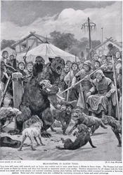 Bear baiting in Saxon times, from 