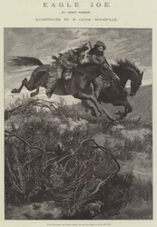 Eagle Joe, by Henry Herman