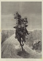 Maruja, by Bret Harte