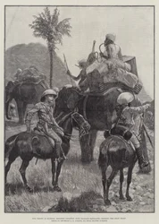 Our Troops in Burmah, Mounted Infantry with Baggage Elephants Crossing the Shan Hills