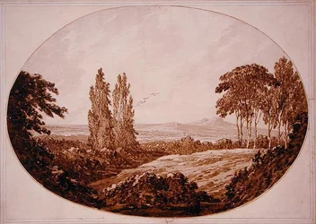 Landscape, Trees and Rocky Hills
