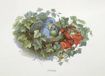 Climbing