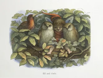 Elf and owls