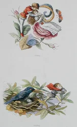 Flirting, and Stealing, Illustrations from 
