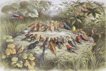 Music Rehearsal in Fairyland (Illustration from 
