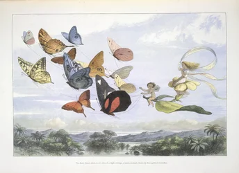 The Fairy Queen