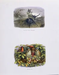 The Fairy Queen