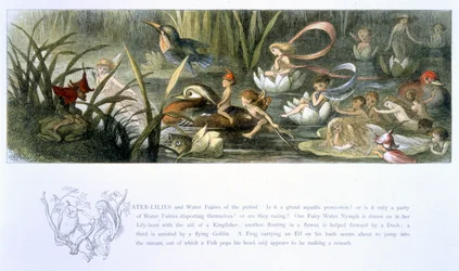 Water-Lilies and Water Fairies, Illustration from 