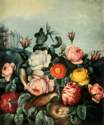 Roses, 1799