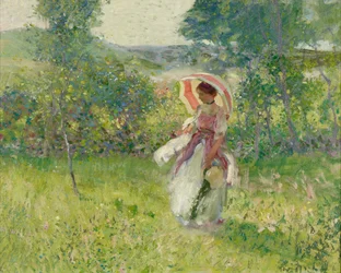 The Parasol
