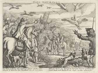 Falconry on Herons and Ducks (Hunting Parties)
