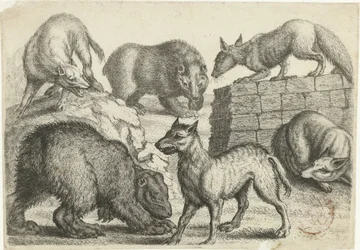 Two Bears, Two Wolves, and Two Foxes Animals after Various Artists (series title)
