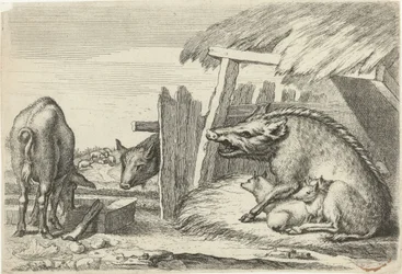 Animals After Various Artists