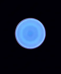 Circle X