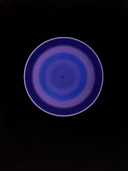Untitled, 2004