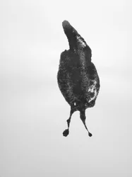 Untitled, 2009