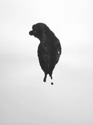 Untitled, 2009