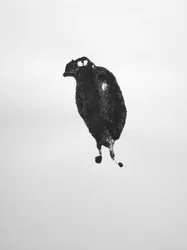 Untitled, 2009